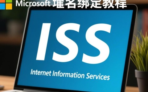 iis域名绑定操作中，如何正确设置不同域名指向同一服务器？