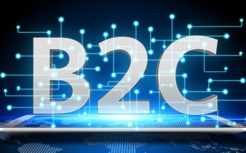 B2C电商系统开发中，如何实现高效的用户体验和盈利模式？