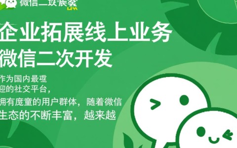 微信二次开发网站，如何实现个性化定制与高效互动体验？