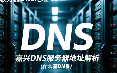 嘉兴地区如何查询并设置正确的嘉兴服务器dns地址_嘉兴dns服务器地址？