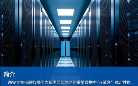 西安大宽带服务器为何在行业独树一帜？揭秘其技术优势与市场前景？