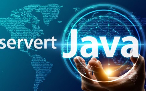 Java服务器性能监控，如何全面评估和优化java监控服务器性能效果？