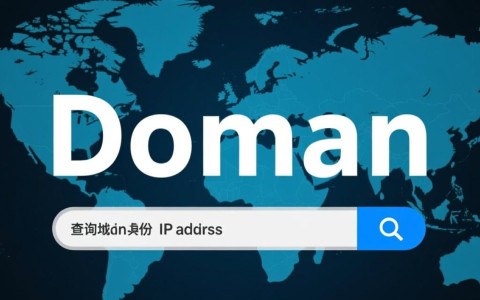 如何准确使用搜索域名查询域名ip工具？揭秘高效域名信息查询方法！