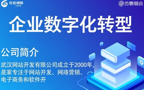 武汉网站开发有限公司，为何在这个行业脱颖而出，备受瞩目？