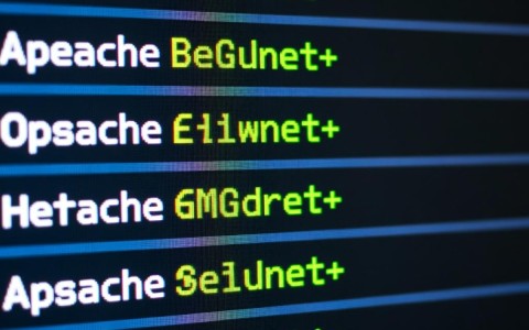 Apache配置网站目录读写权限时如何正确设置?