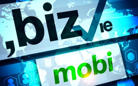 .biz域名与.mobi域名有何区别？选择哪个更适合我的商业网站？