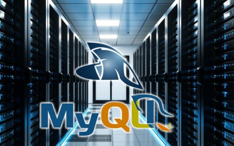 apache备份数据库时，如何避免数据丢失或备份失败？