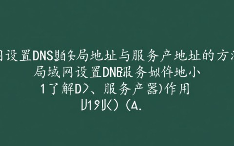 局域网内如何准确设置DNS服务器地址，确保网络连接顺畅？
