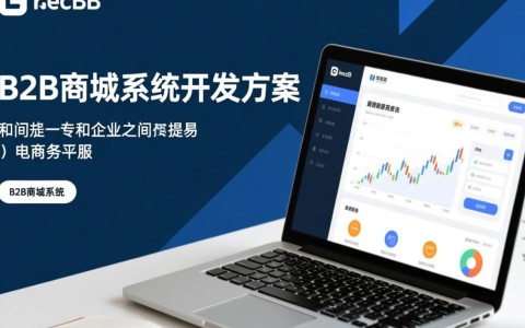 B2B商城系统开发方案中，如何确保功能和用户体验的完美融合？