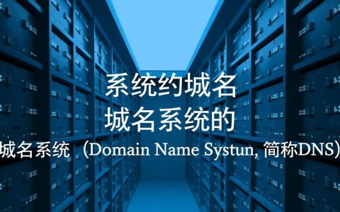 域名系统的域名是如何运作并影响互联网访问的？