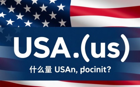 usa域名作为顶级域名，其具体含义和使用范围有哪些？