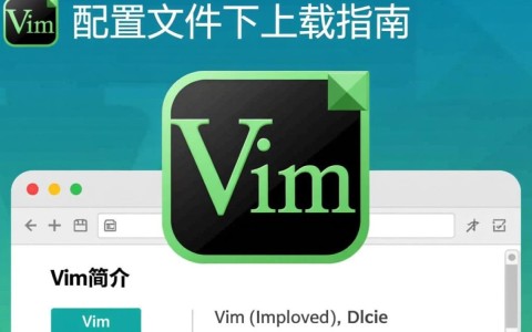 如何下载并配置Vim编辑器的个性化配置文件？