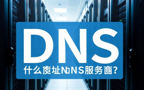 江苏泰州DNS服务器地址如何查询及具体地址是什么？
