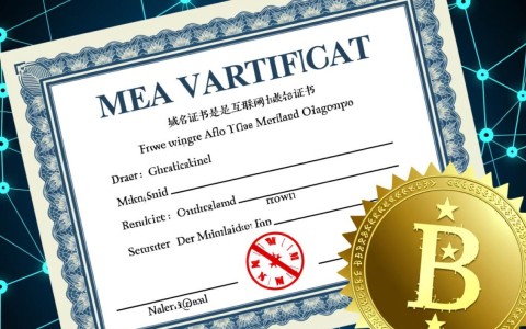 域名证书注册人身份认证，是否存在漏洞与风险？