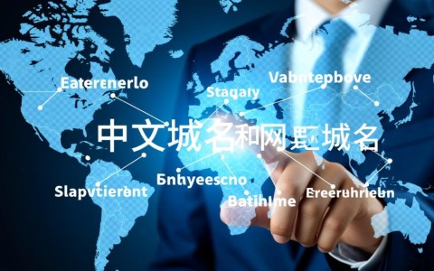 中文域名与网址域名价格差异及性价比分析，哪款更值得投资？