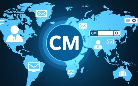 cm域名和org域名有何区别？选择哪个更适合我的网站？