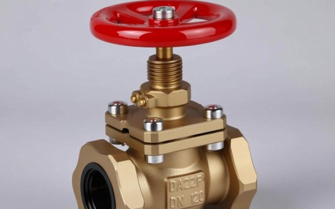 低温安全阀DA22F_16cDN20，为何在市场上备受关注？揭秘其独特性能和优势。