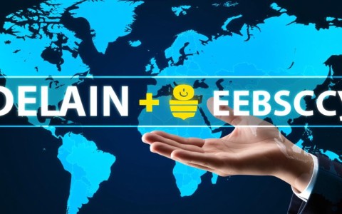 区域名和域名有何本质区别？揭秘两者间的微妙联系！