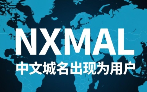 中文域名真的可行吗?中文域名与传统域名的区别有哪些?