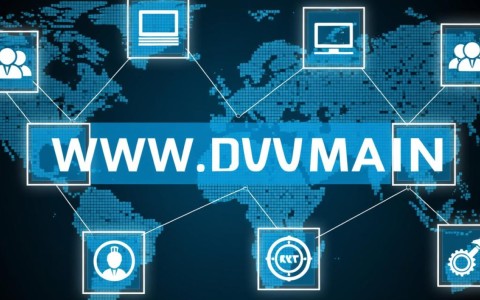 www域名与顶级域名有何区别？两者应用场景及优缺点分析？