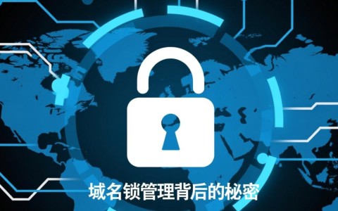 域名锁定与解锁,为何锁定?如何解锁?探讨域名管理之谜。