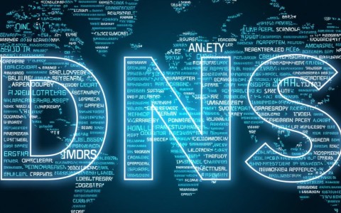 dns域名1域名2背后隐藏的奥秘，为何如此重要？