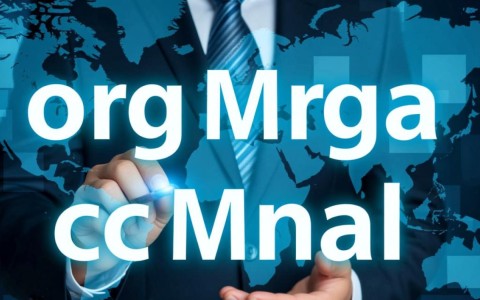 org域名与cc域名有何本质区别?选择哪个更适合我的网站?