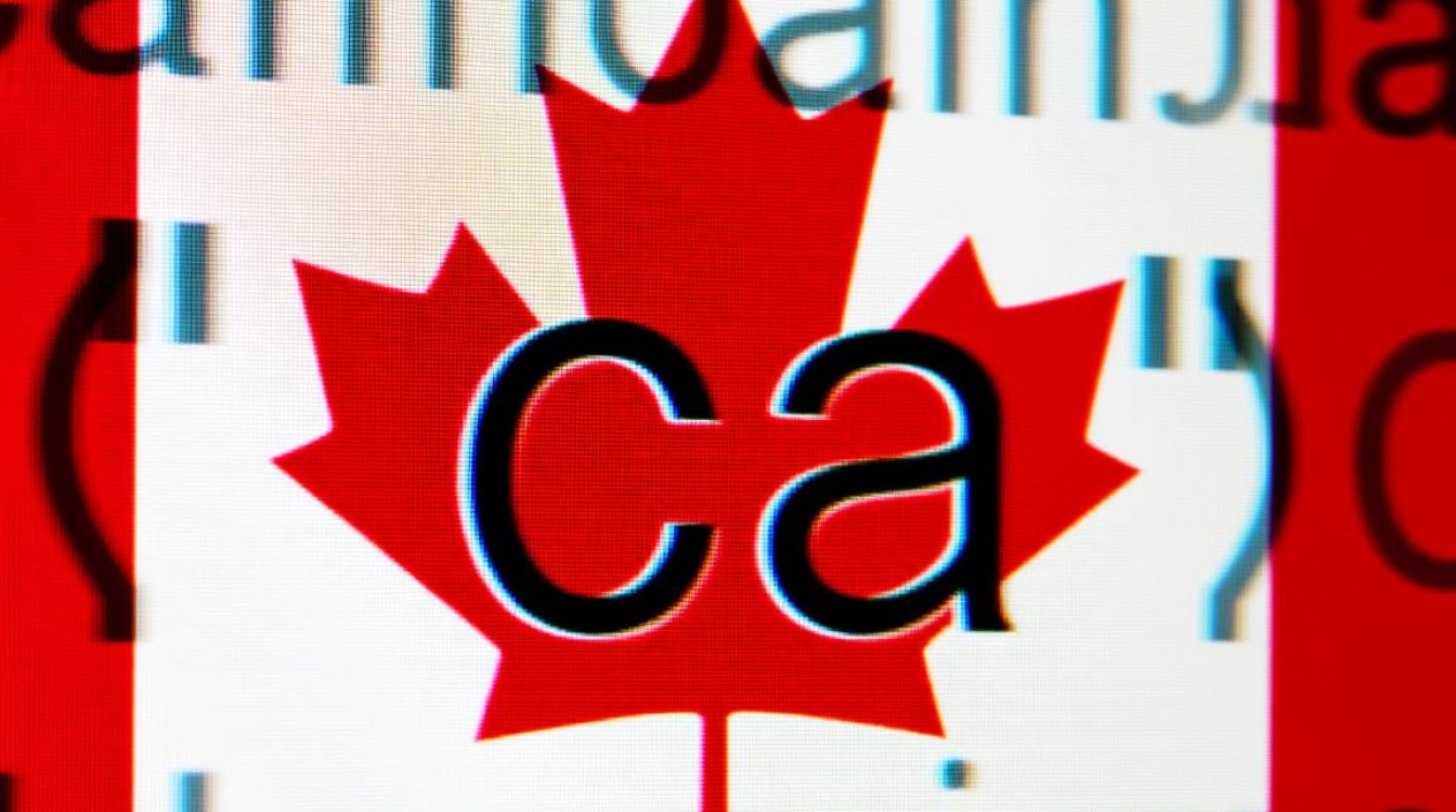 加拿大域名后缀是什么？如何选择合适的加拿大域名？