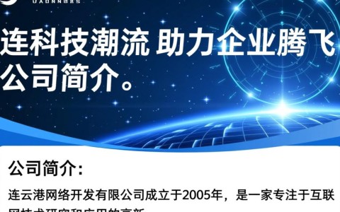 连云港网络开发有限公司，为何在当地网络开发领域独树一帜？