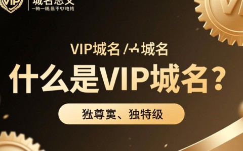 .vip域名究竟是什么?揭秘其独特之处和使用场景