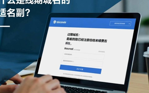 过期域名和新域名，转换过程中如何确保网站稳定性和SEO效果？