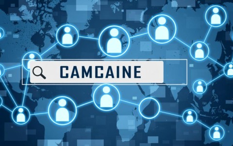 如何有效查询域名下的所有子域名？有哪些实用工具和技巧？