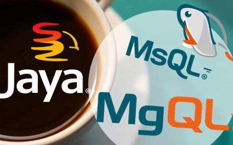 Java与MySQL,两者间究竟有何紧密关系?