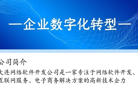 大连网络软件开发公司，如何选择最合适的合作伙伴？