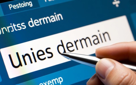 如何高效查域名及其子域名?揭秘子域名查找技巧!