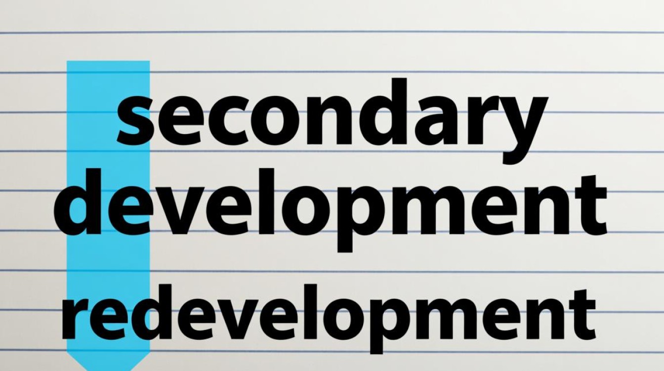 二次开发在英语中该如何表达？