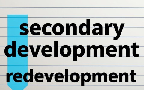 二次开发在英语中该如何表达？