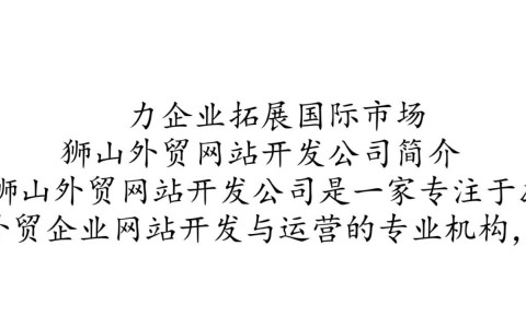 狮山外贸网站开发公司，如何打造专业高效的外贸平台？