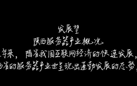 陕西一年服务器使用情况如何？揭秘数据背后的秘密！