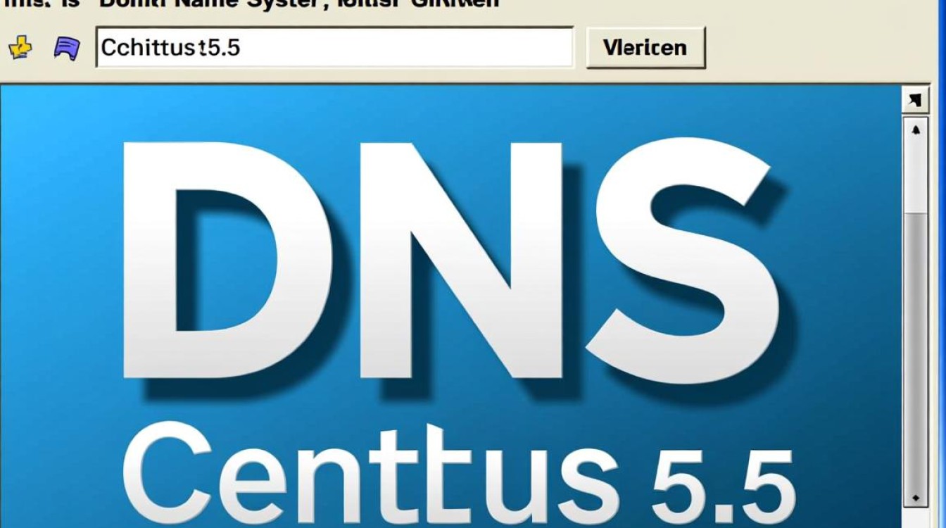Centos 5.5 DNS配置过程中，如何确保设置正确无误？
