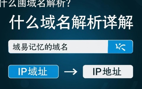 新网域名解析步骤详解，如何快速正确解析新域名？
