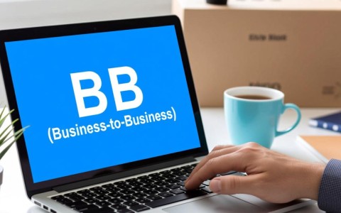 B2B订货平台开发成本究竟是多少?揭秘不同规模企业的价格差异!