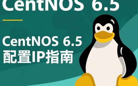 CentOS 6.5 系统中如何正确配置IP地址?详细步骤与常见问题解答!