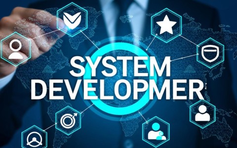 为何选择值得信任的系统开发公司？揭秘其背后优势与成功案例！