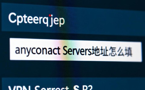 anyconnect服务器地址填错了怎么办？正确填写方法是什么？