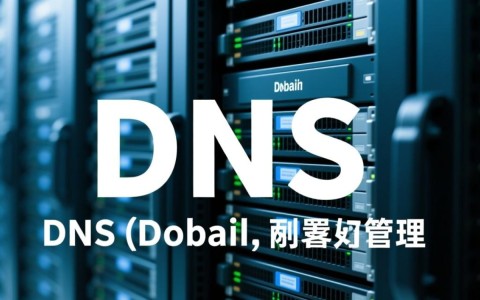 DNS服务配置与管理中,如何确保高效且安全的域名解析?