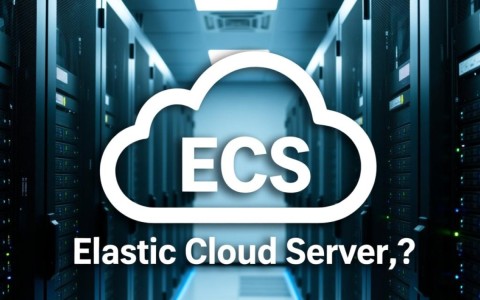 删除云服务器网卡NovaDetachInterface操作中,如何有效管理弹性云服务器API?