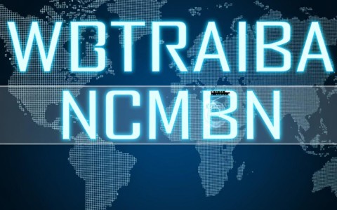 如何高效进行域名与子域名的查询与识别?