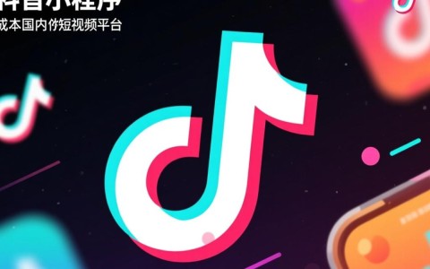 抖音开发小程序的成本是多少？不同功能和规模有何价格差异？