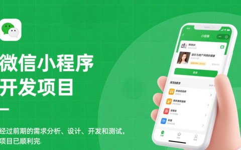 小程序开发项目验收报告，哪些关键指标未达标，项目验收存在哪些疑问？